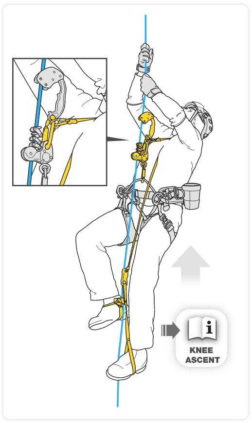 初代『ジグザグ』 (2013～2018年) と『シケイン』および『ニーアッセント』の適合性について - PETZL｜PROFESSIONAL