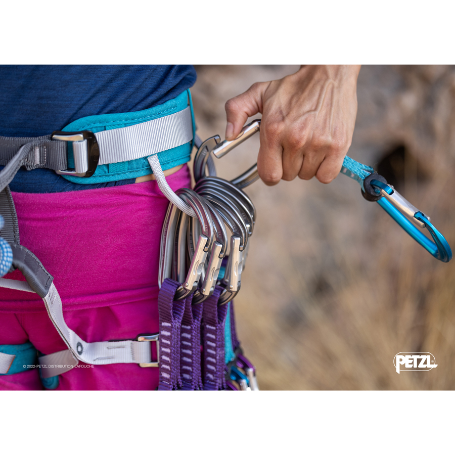 ジン アクセス６本パック - PETZL | SPORT